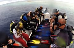 ���ʴ�Ǳ���Ǽ�ע������