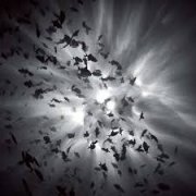 �����Ľ�ѵ������ǱˮԱ�������ľ�