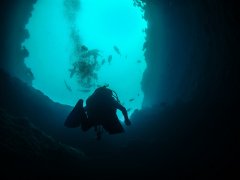 ����ɣ��ıտ־�֢�����ֲ�