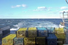 <b>����ͨ���£�һֻ��Ϻ�Ŀ羳֮��</b>