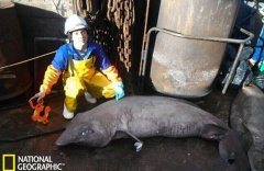 �߸���֪:�ո��������ֹ���