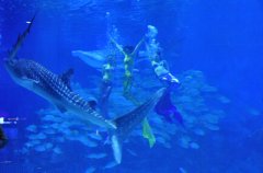 �������㡱�뾨���������