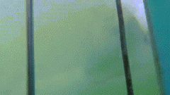 ��4�׳����������棺��ҧ��������ҧ����Ͳ