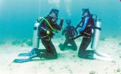 ����־Ȥ��Ͷ����������Ǳ���Ĵ���